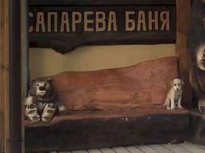 A cute stray dog on a bench
